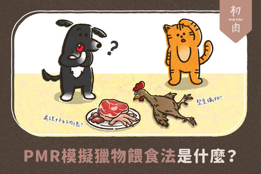 PMR模擬獵物生食法是什麼? 一起來認識PMR diet!