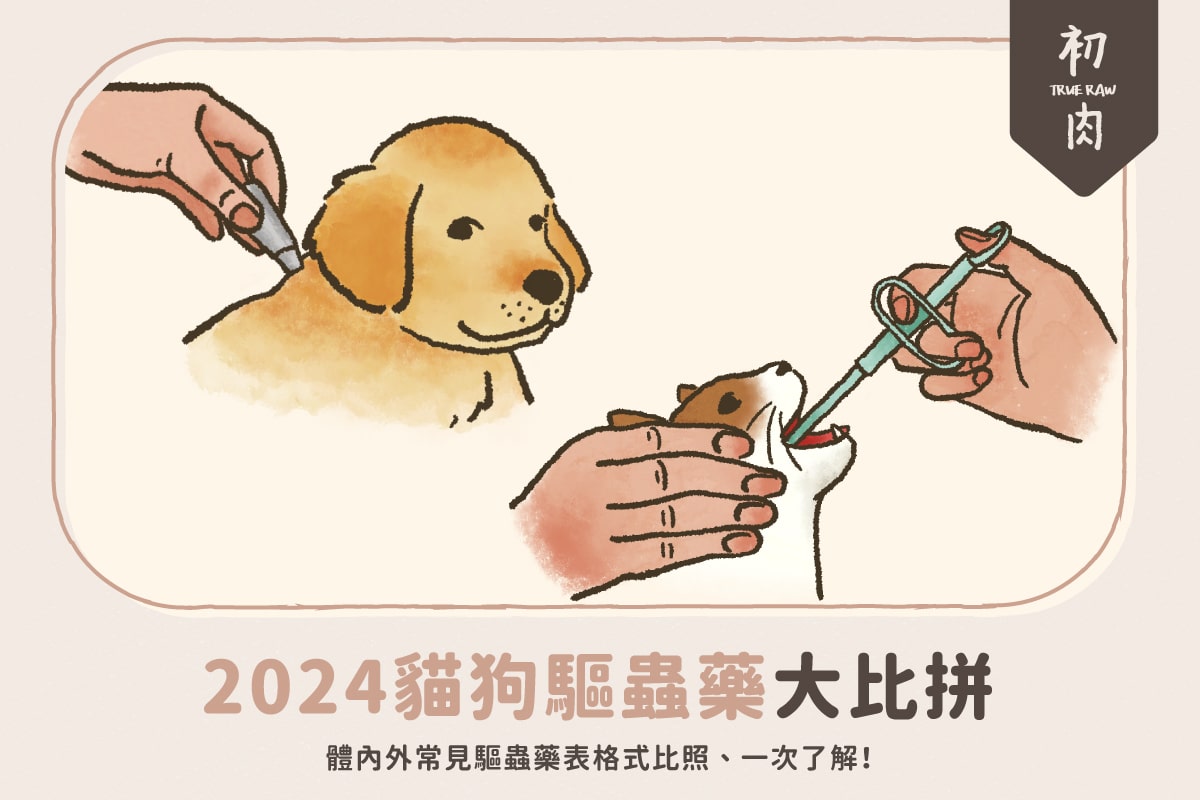 2024貓狗驅蟲藥大比拼!口服、滴劑藥有哪些?體內外用劑一次了解!