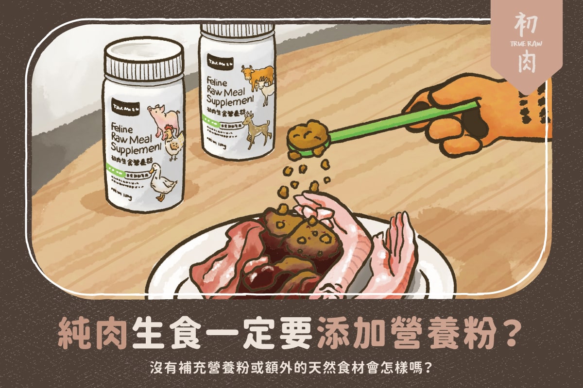 純肉生食一定要添加生食營養粉?