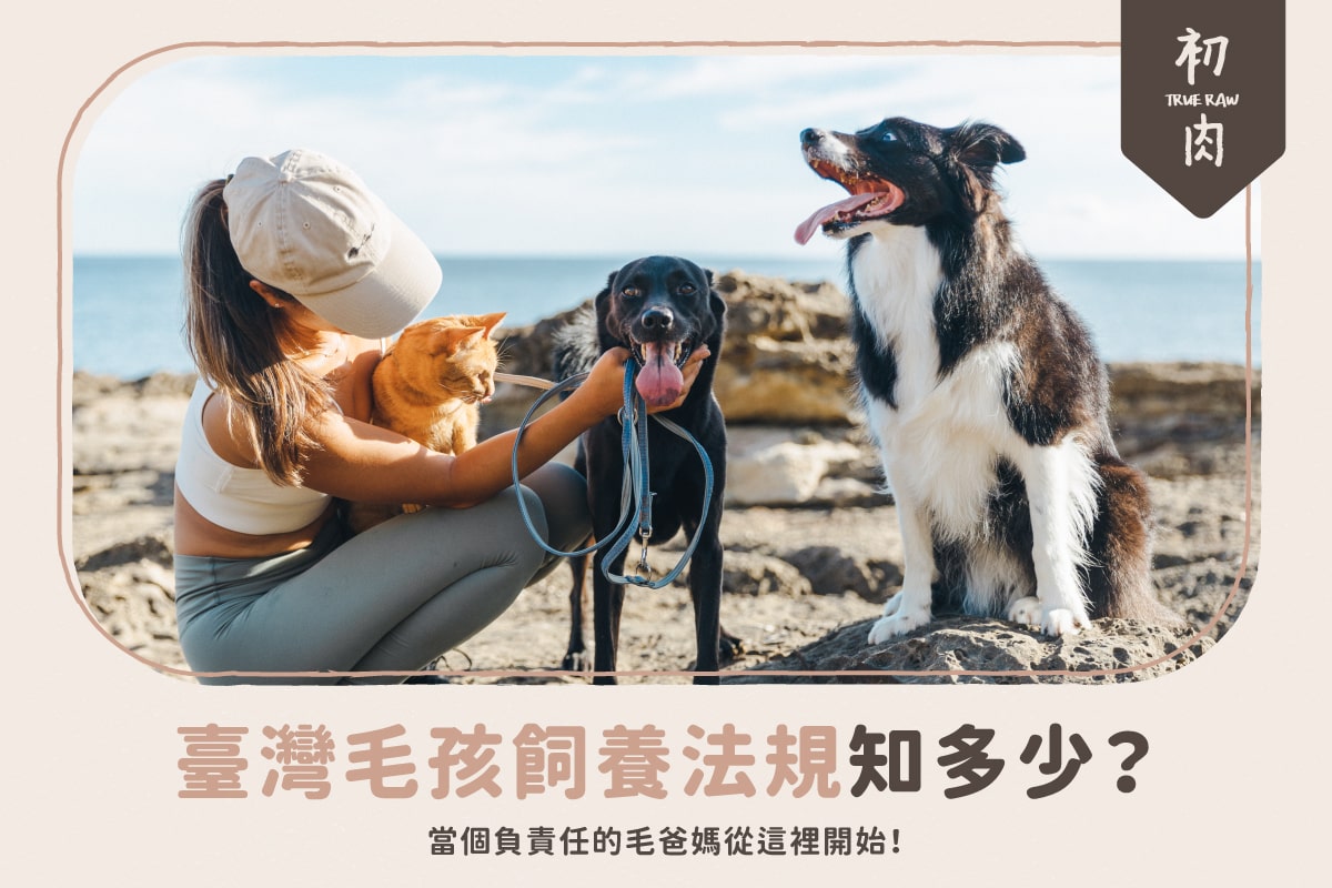 台灣寵物飼養法規你知道多少?當個負責任的毛爸媽從這裡開始!
