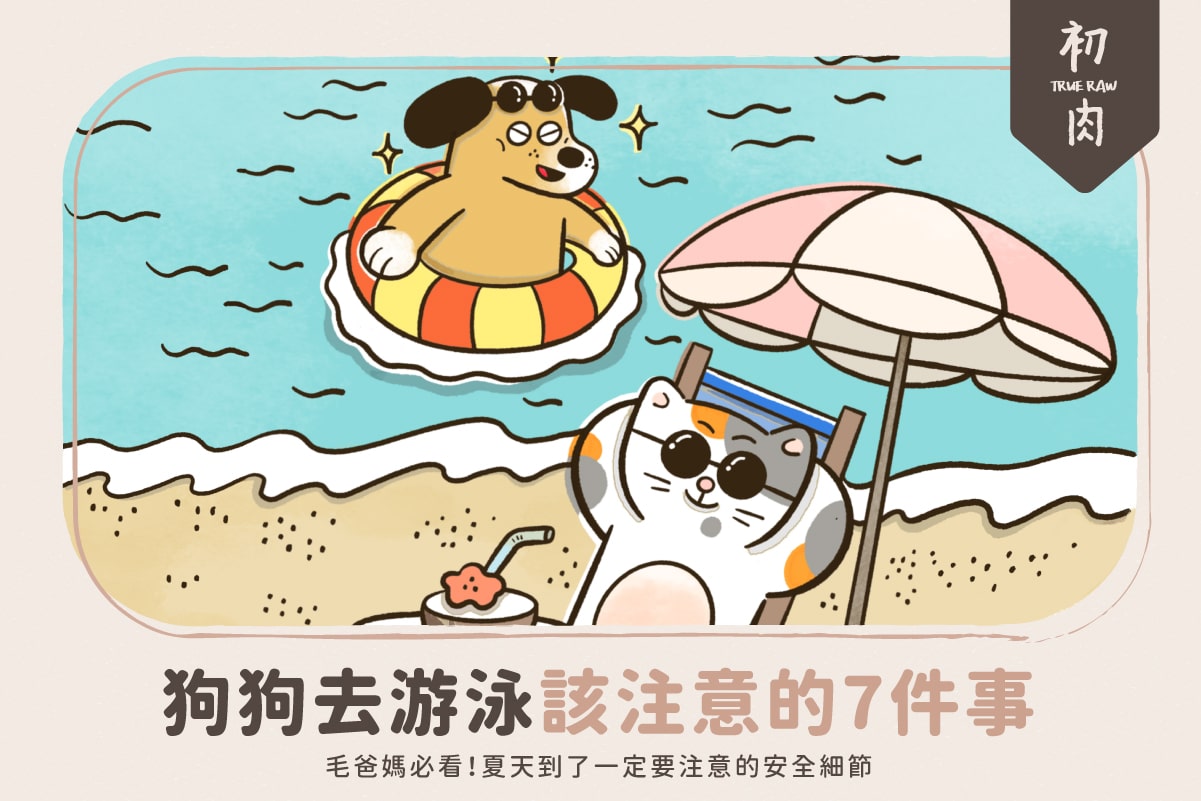 夏天帶狗狗游泳前,毛爸媽必看!7個你一定要注意的安全細節