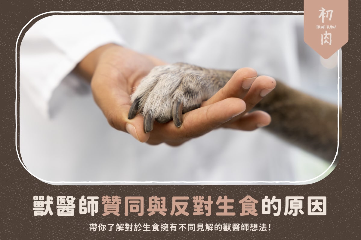 獸醫師贊同與反對生食的原因