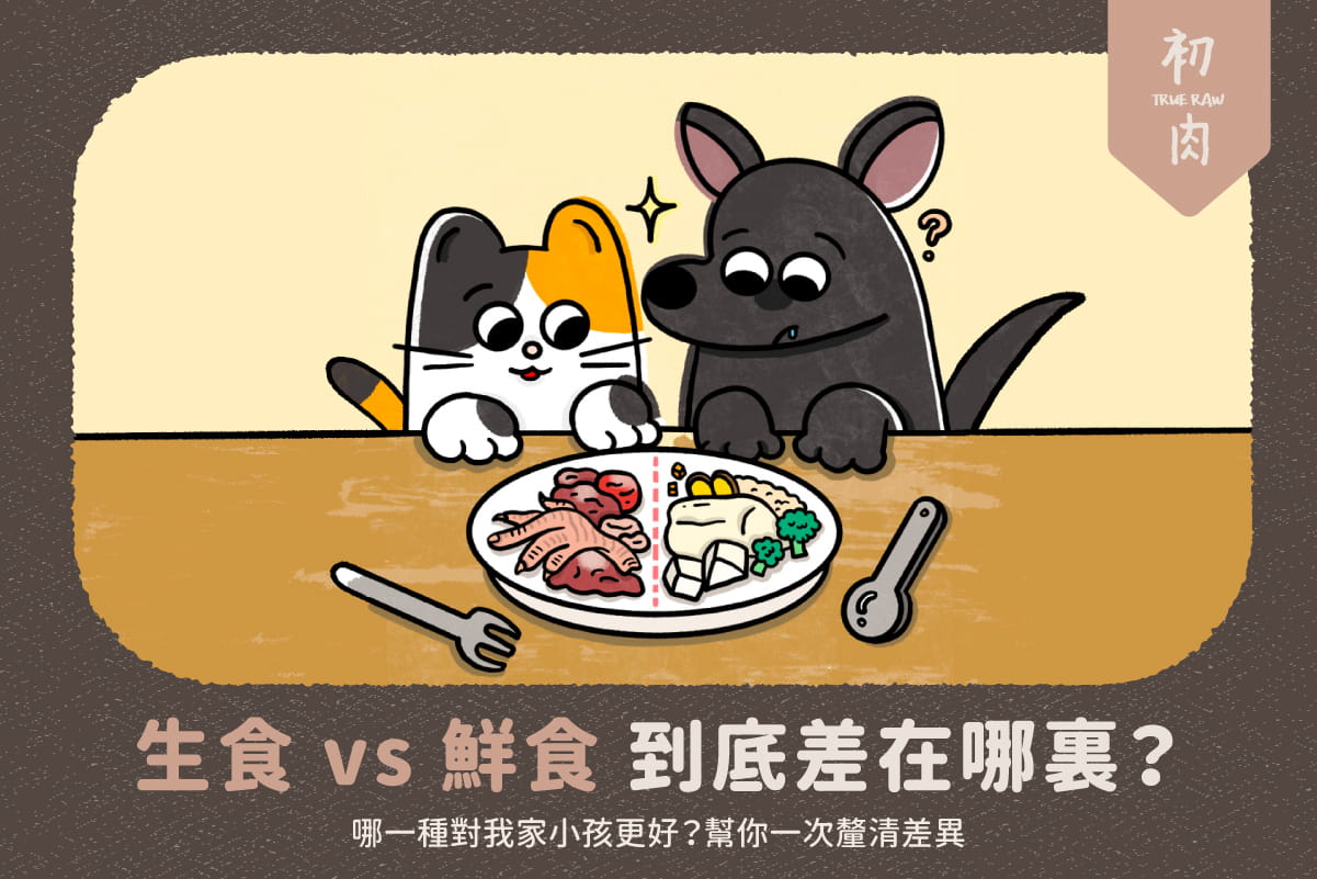 生食 vs 鮮食 到底差在哪裏?
