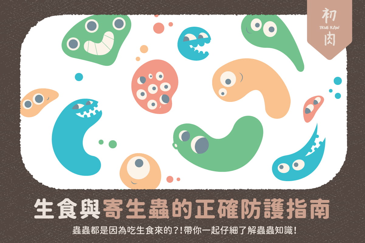 生食防護全攻略:一次看懂寄生蟲與正確驅蟲觀念