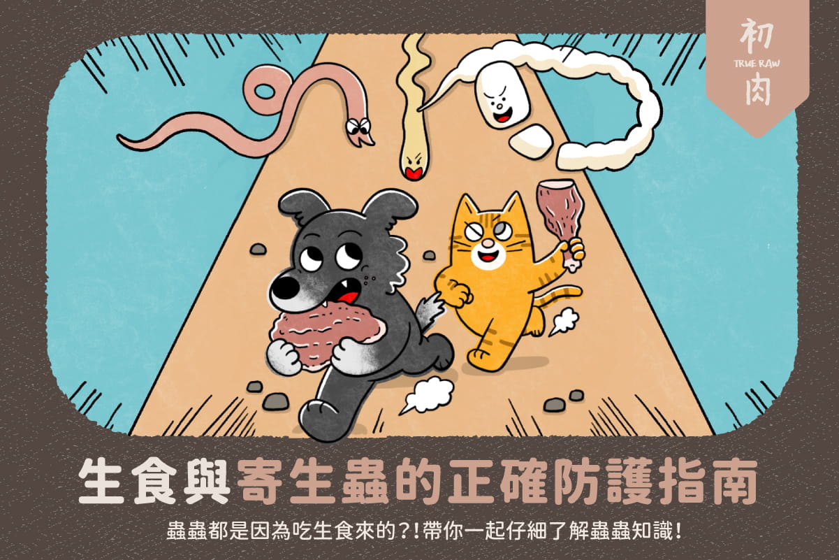 生食防護全攻略:一次看懂寄生蟲與正確驅蟲觀念
