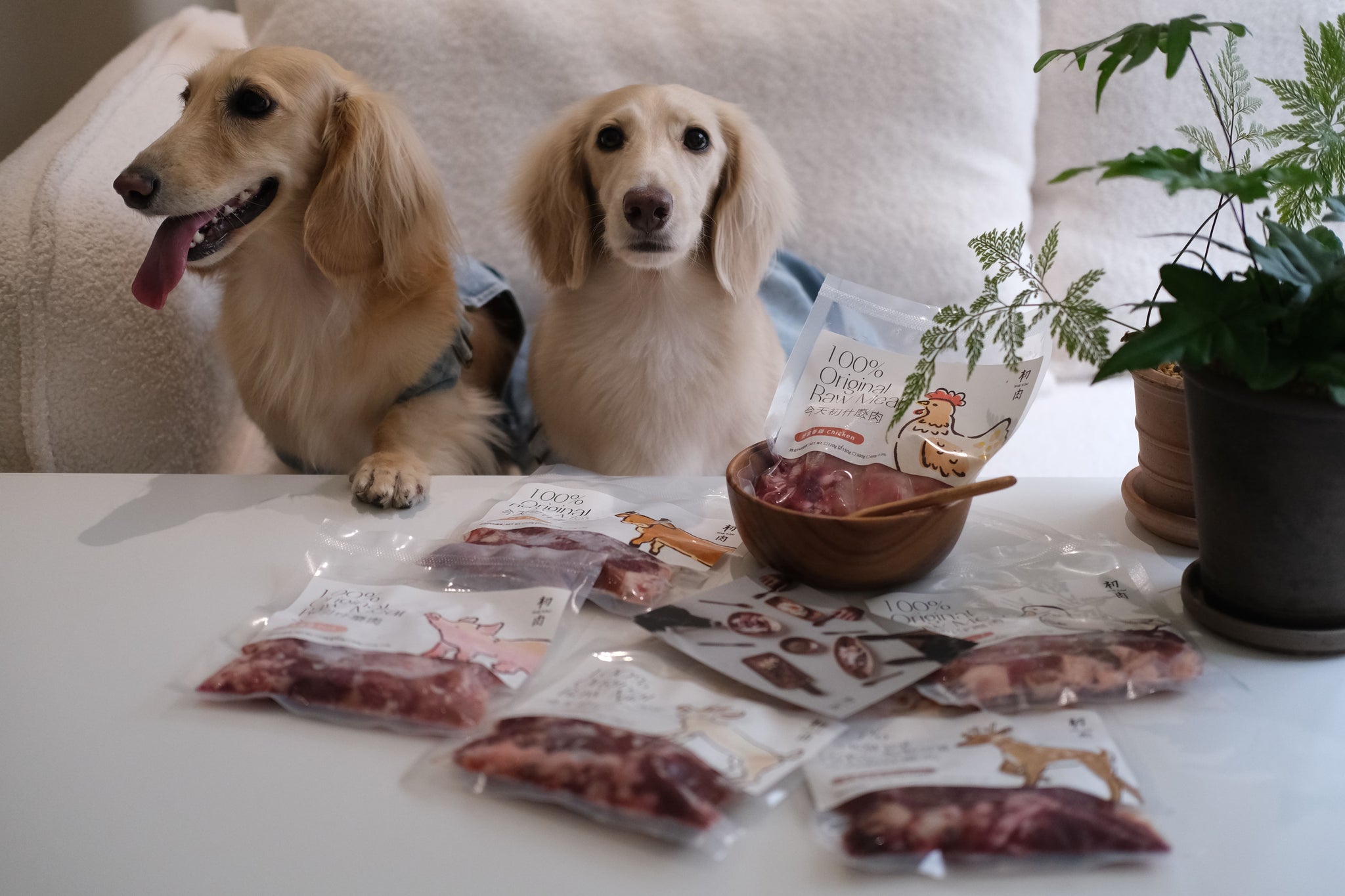 原本還擔心波妞不敢吃,結果根本是我想太多了…不曉得什麼時候突然愛上!