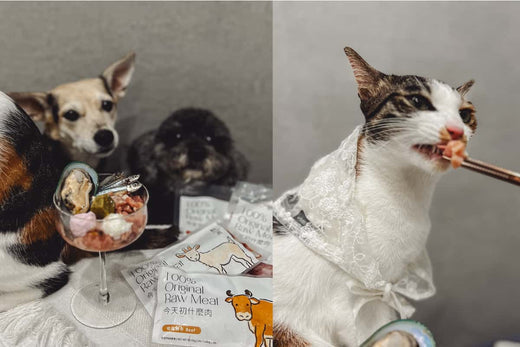 吃兩餐就會發現便便減少喔!這也代表營養都有好好被吸收啦