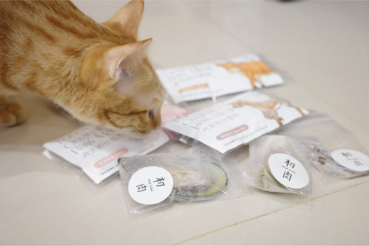 以我們家歐練吉的飲水量來說, 這樣完全不用加水了!