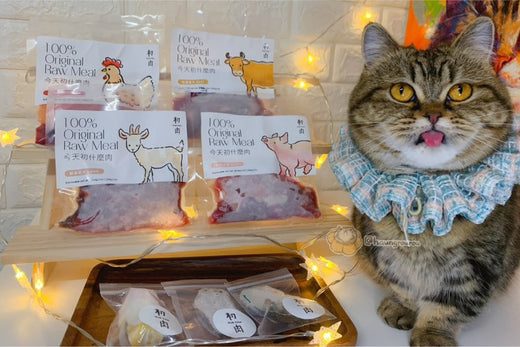 初肉的生食跟我以往買的都不同,有別其他間的泥狀,他們是更接近原始型態的肉塊狀