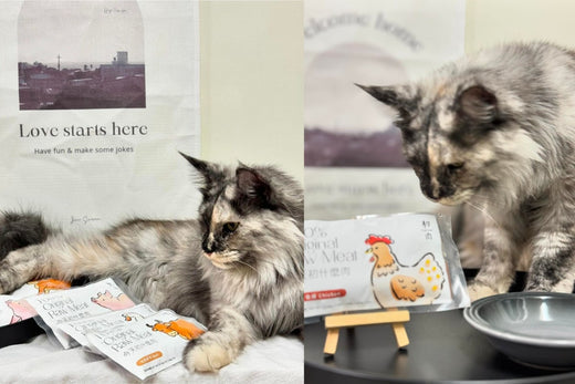 牙齒更乾淨,減少口臭問題!生肉含有高度水份,不用擔心水分不足!