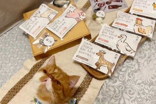 很多拔麻都很怕吃生食會喚醒野性,但這都是多餘的擔心,反而有助於提供更均衡的營養!