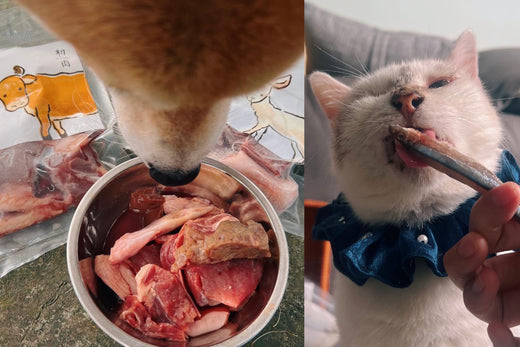 吃完也不會拉肚子,便便一樣很漂亮•̀ᴗ•́