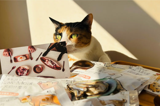 即便烏瑪幾乎不從食物以外的地方補充水分,也是能藉由高含水量的生食,讓烏瑪達到每日的飲水量。