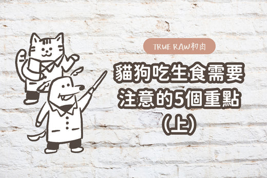 貓狗吃生食需要注意的5個重點(上)