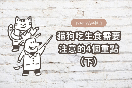 貓狗吃生食需要注意的4個重點(下)