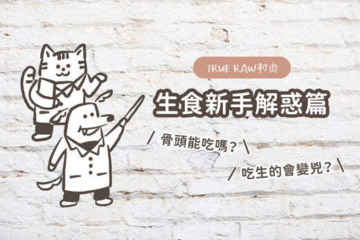 貓狗吃生的會變兇?骨頭能吃嗎?意想不到的生食新手解惑篇