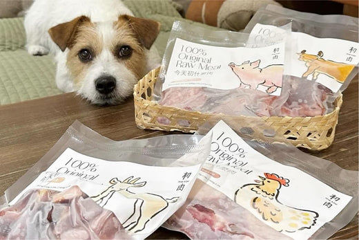 開始吃生食的時候馬麻非常擔心,但以循序漸進的方式吃了好幾天,每天觀察下來的便便都非常漂亮!