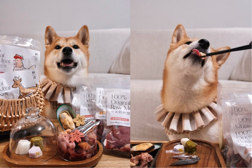 吃了6餐觀察下來,每天的嗯嗯都是健康的狀態