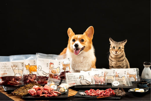 初肉還非常貼心,根據貓貓/狗狗的需求,不同體型的狗狗有不同的肉肉組合包