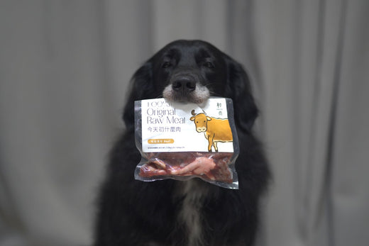 不管哪種餵養方式,只要適合狗狗就好