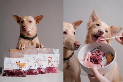 輕鬆冷藏退冰即可,好適合懶人家長🫡!