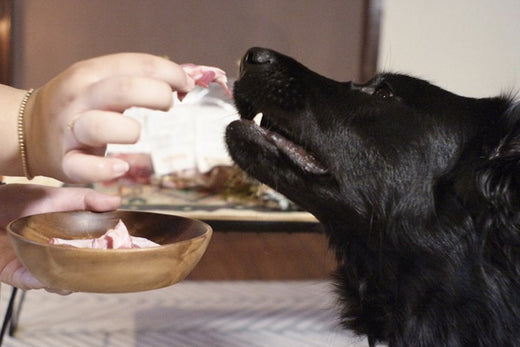 你今天「初什麼肉」?