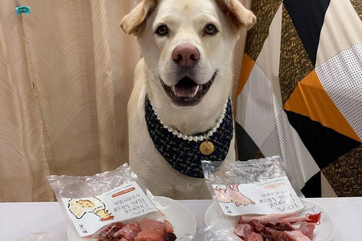 吃生食不但可以減少體味及糞便量,皮膚及毛髮也會變得柔順!