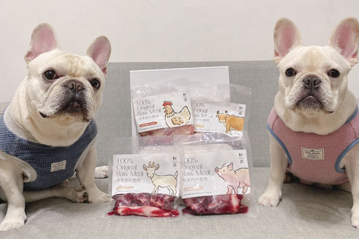 初肉的肉質非常好!像是肥羊是完全聞不到羊的腥味