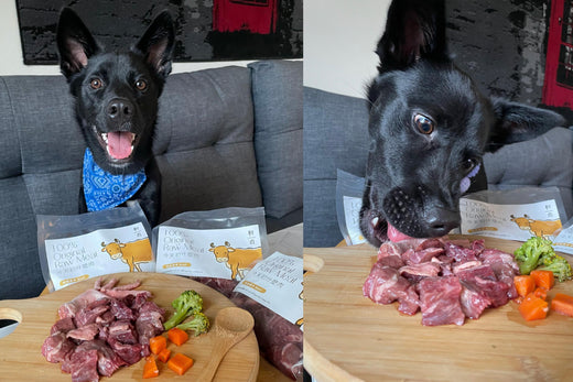 這些原因讓我安心,所以就想讓Oreo嘗試看看吃生肉