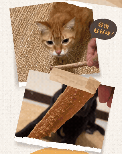 Adobe Express - 251223_eventsite_週年慶3號_mobile_02.gif__PID:e9ebbfd6-41ea-4c95-ac31-9d5b54c07f88