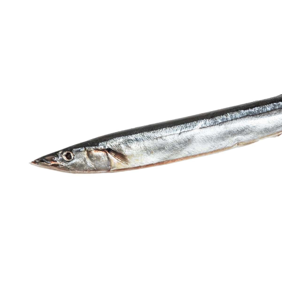 野生海魚優惠組