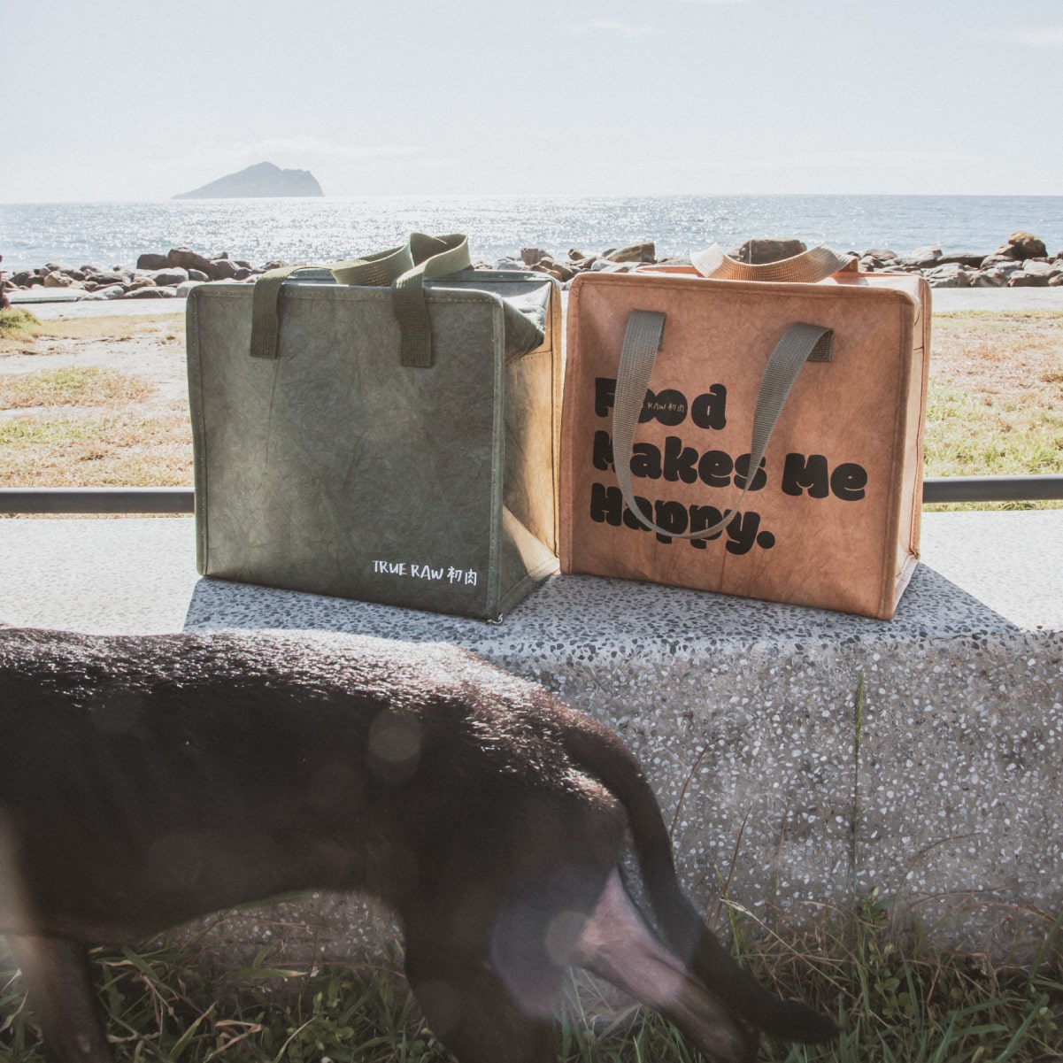初肉大容量隨身保冷袋9L