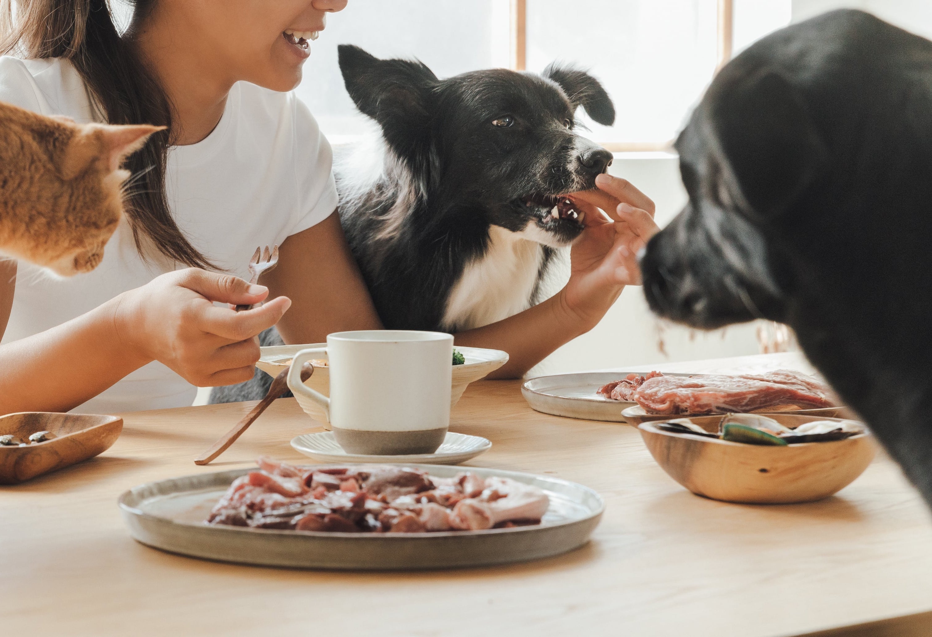 _MG_4069-2-min拷貝.jpg__PID:d58bc020-2a3a-409e-9560-1af20528c7f9