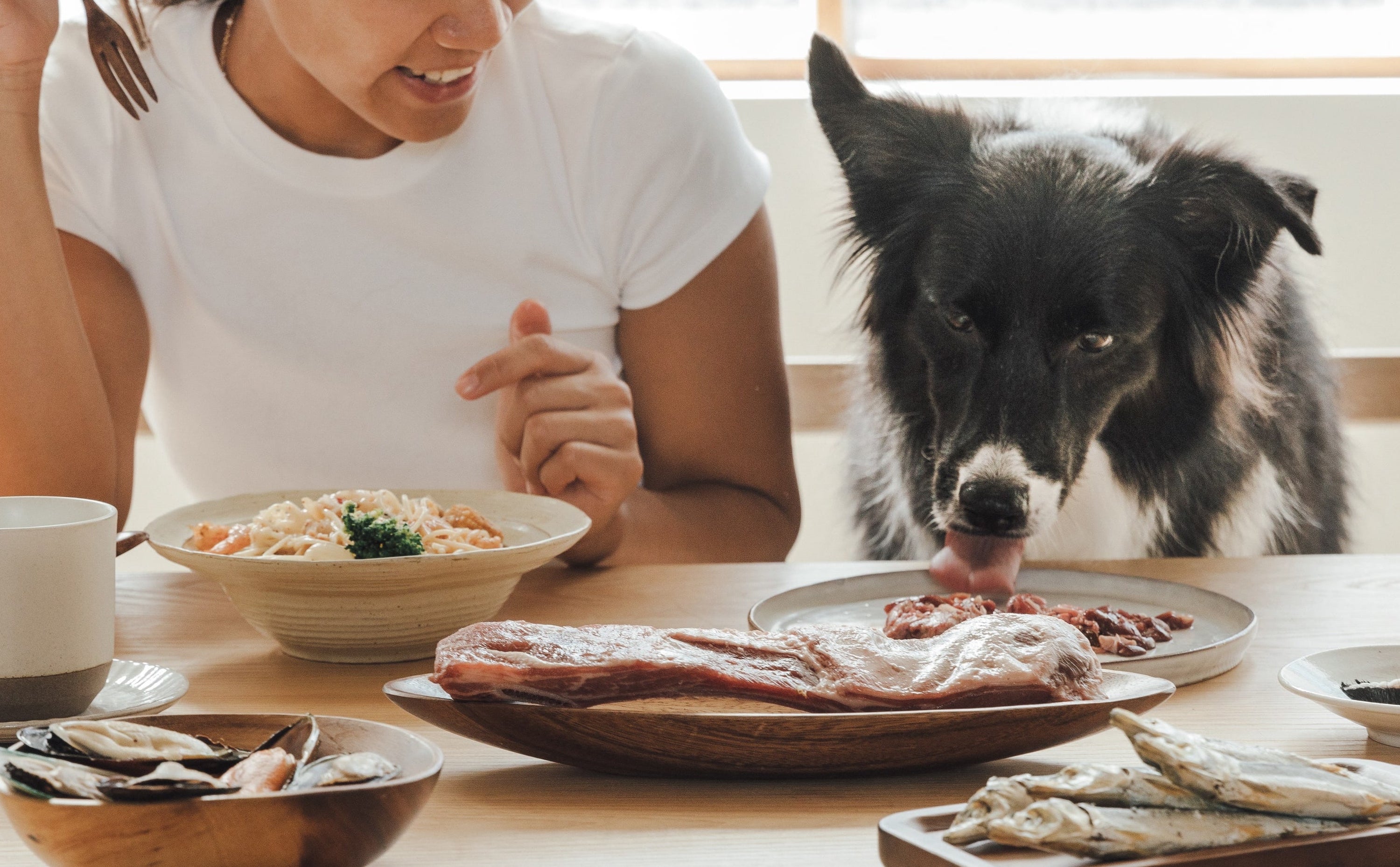 _MG_4083-2-min拷貝2.jpg__PID:697bc6ce-50e1-4316-9b56-c4909ebc4467