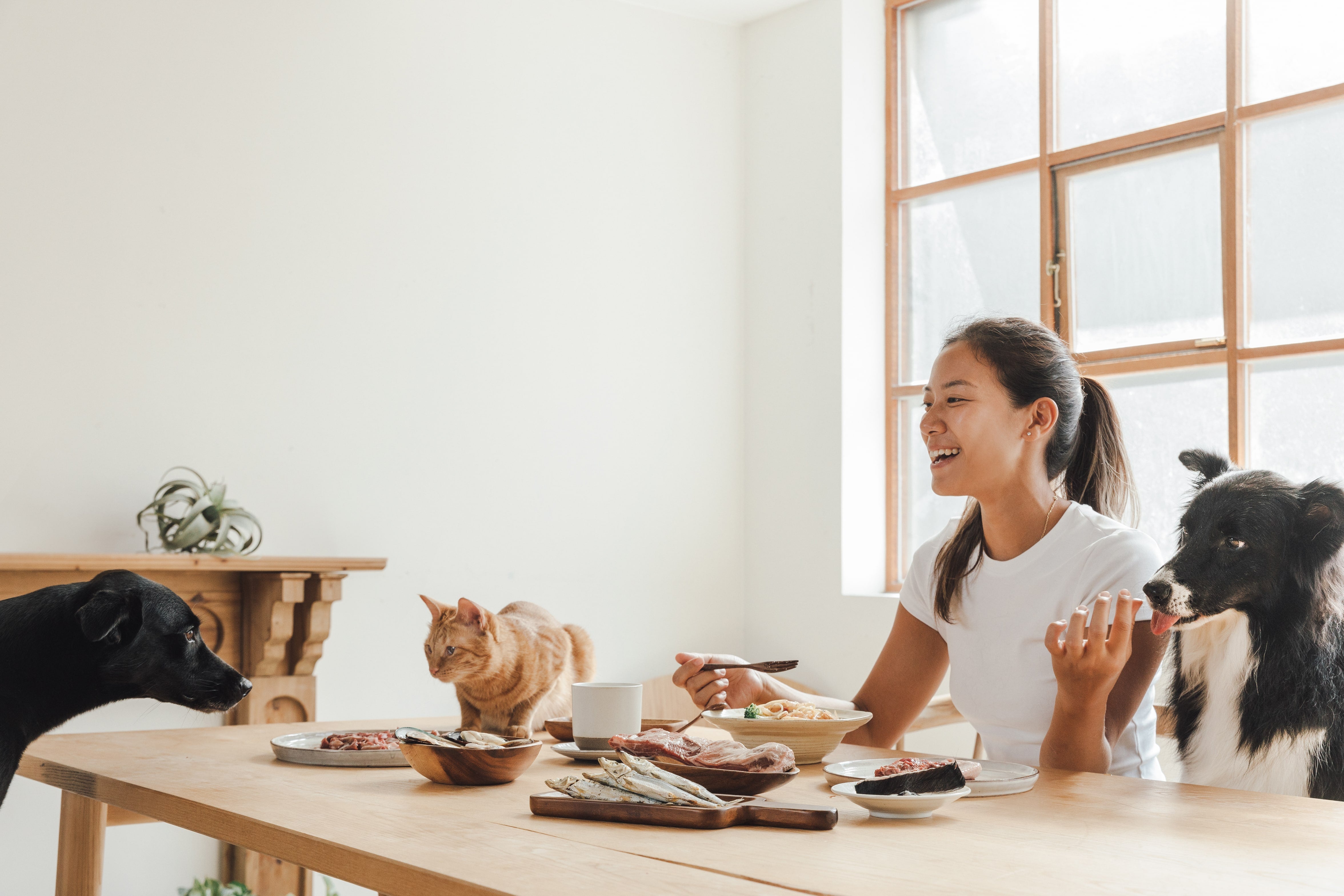 犬用原型生食主餐|肉來我就初 - 吮指鮮牛