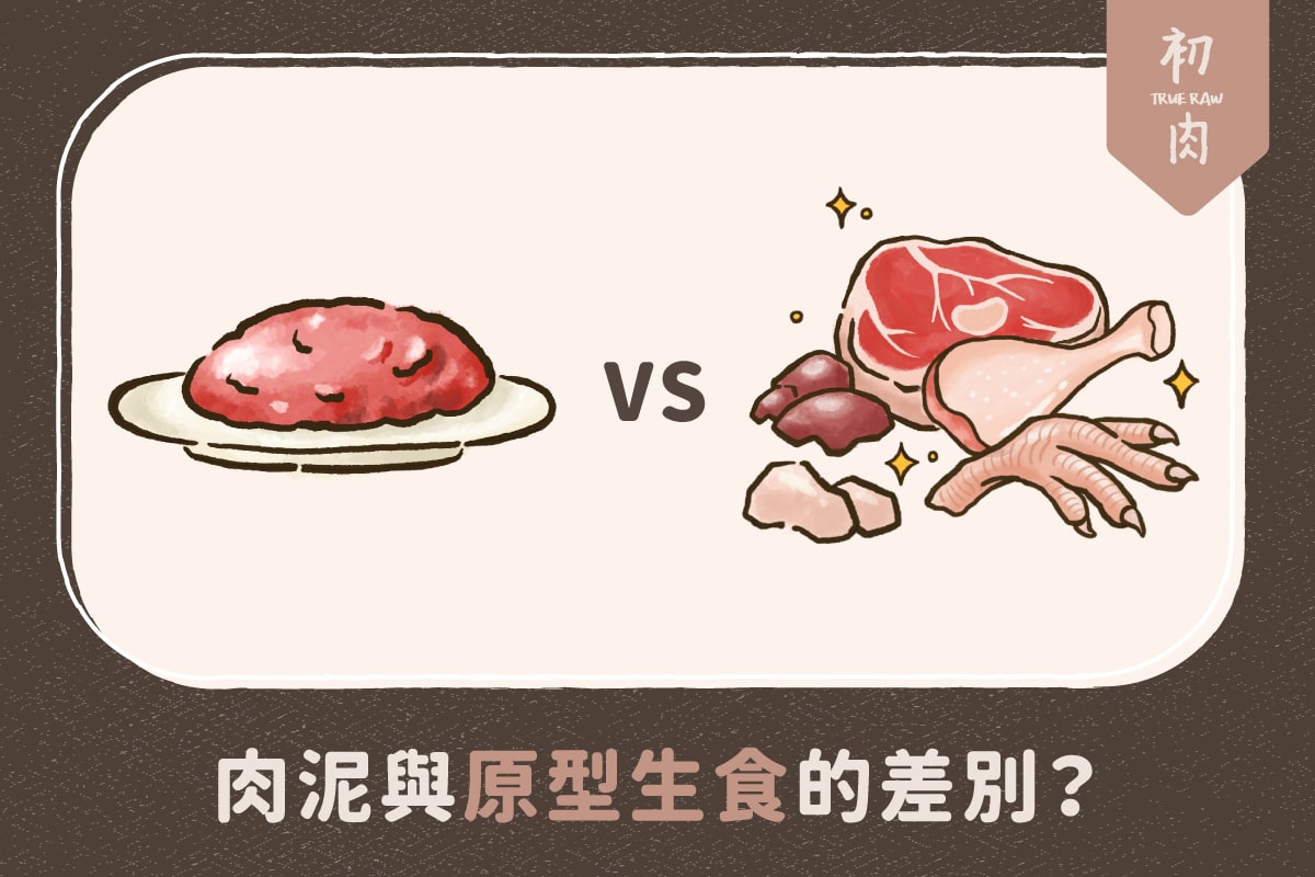 肉泥肉餅與天然原型生食的差別是？兩者優缺點？