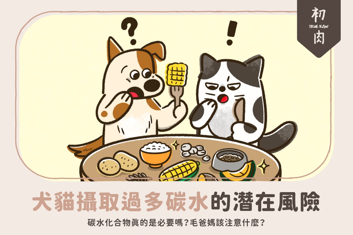 犬貓攝取過多碳水化合物的潛在風險