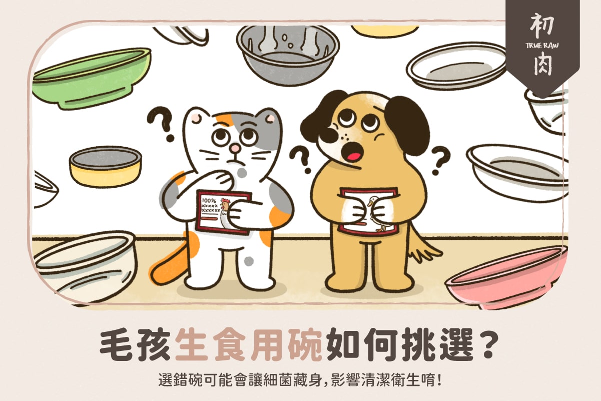 生食挑初肉！毛孩生食用碗如何挑選？