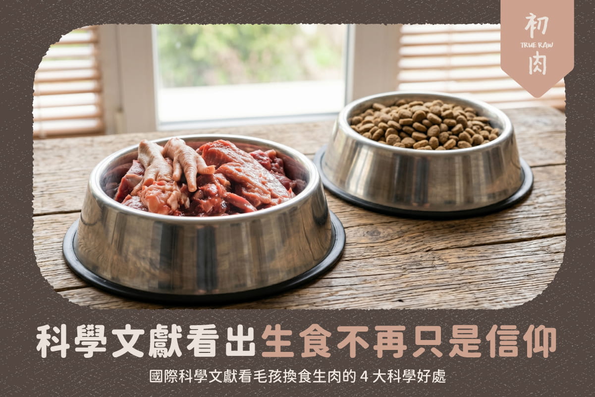 科學證實看出生食不再只是信仰