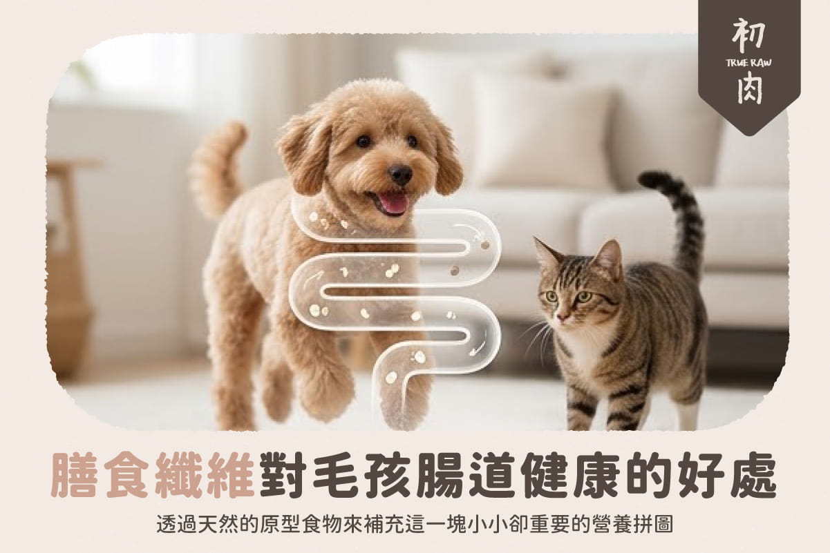 毛孩需要膳食纖維嗎？對腸道健康的好處是什麼？