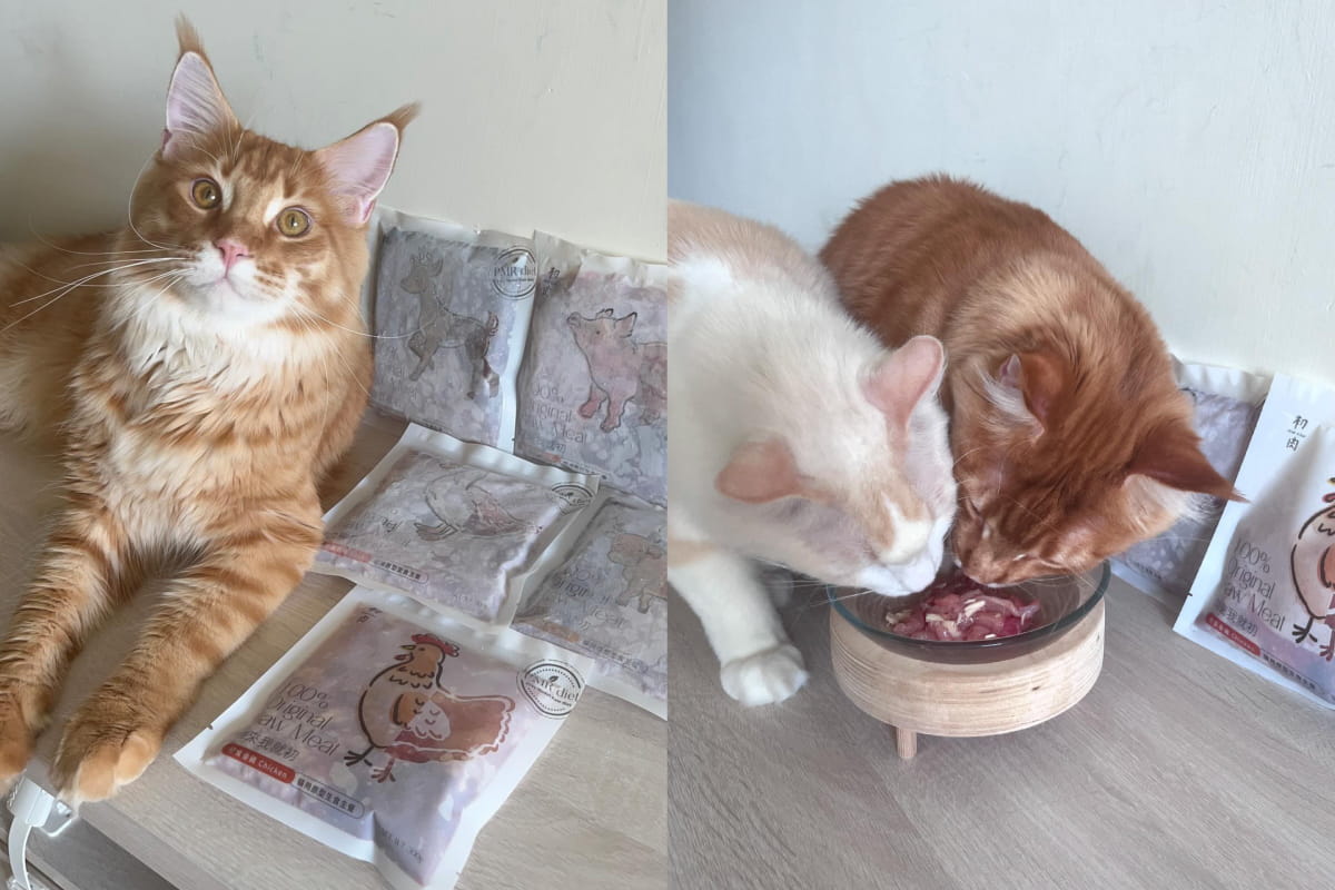 沒有任何穀類麩質豆類，人食等級新鮮肉品、看得到的原型肉塊，讓飼主非常放心！