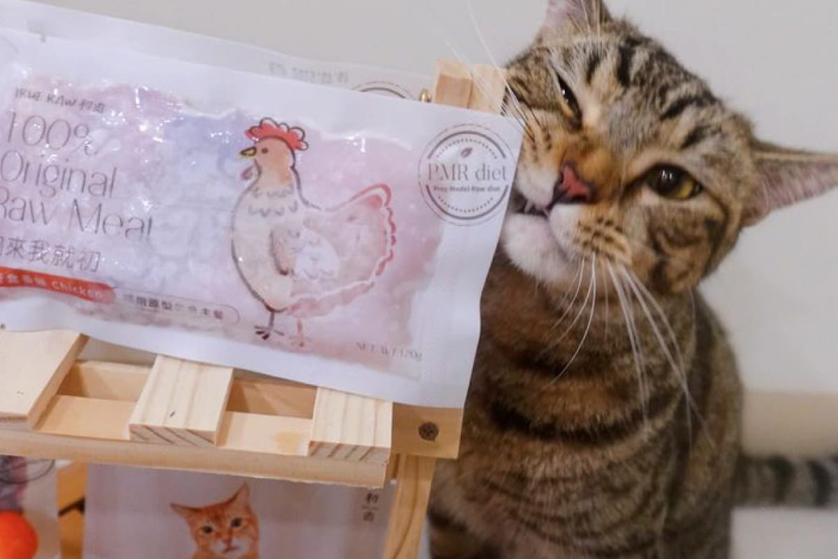 現在吃初肉都可以在旁邊安安靜靜的吃飯，讓麻麻享受了短暫的安靜時光。