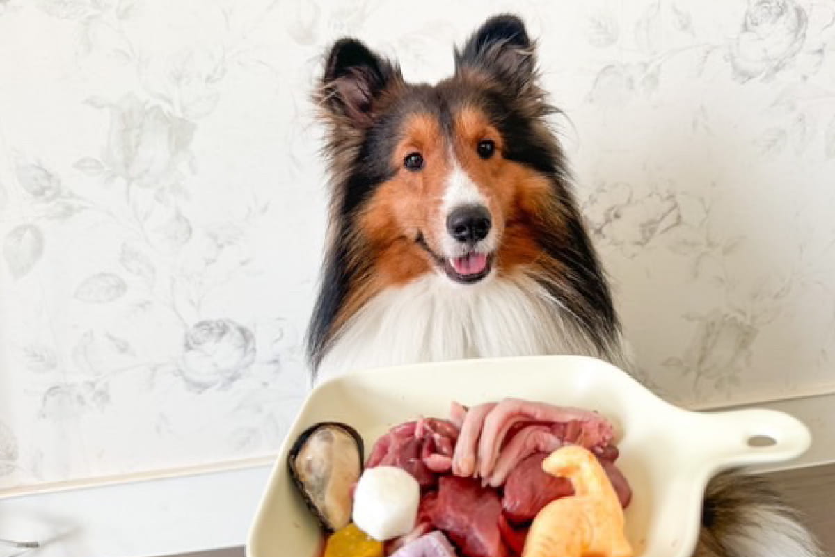 Eat healthy, Be Healthy!