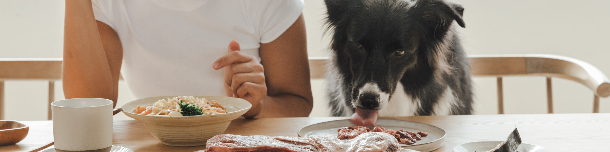 犬用天然原型生食主餐-肉來我就初