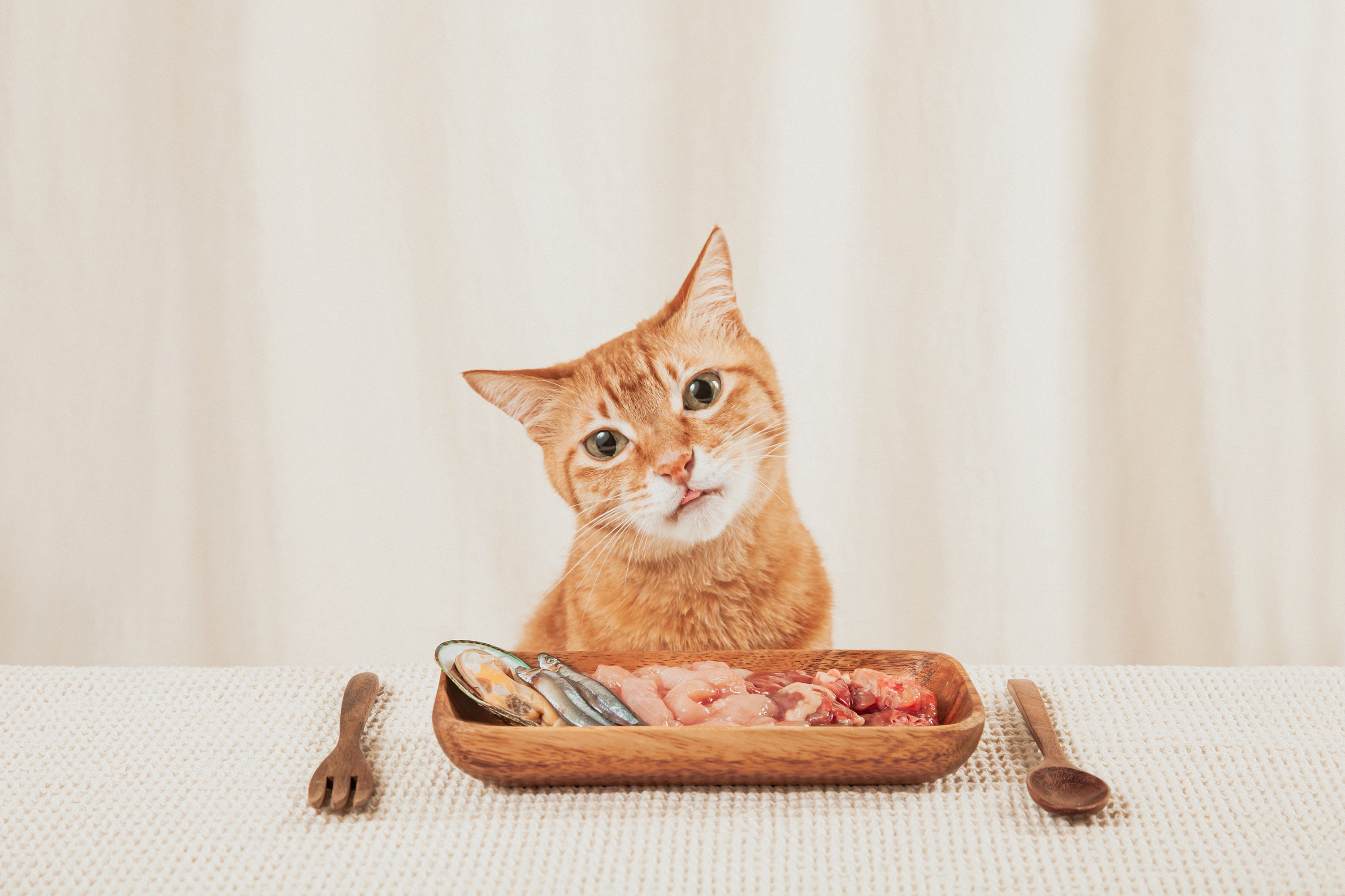 100%貓用天然原型生食主餐-今天初什麼肉