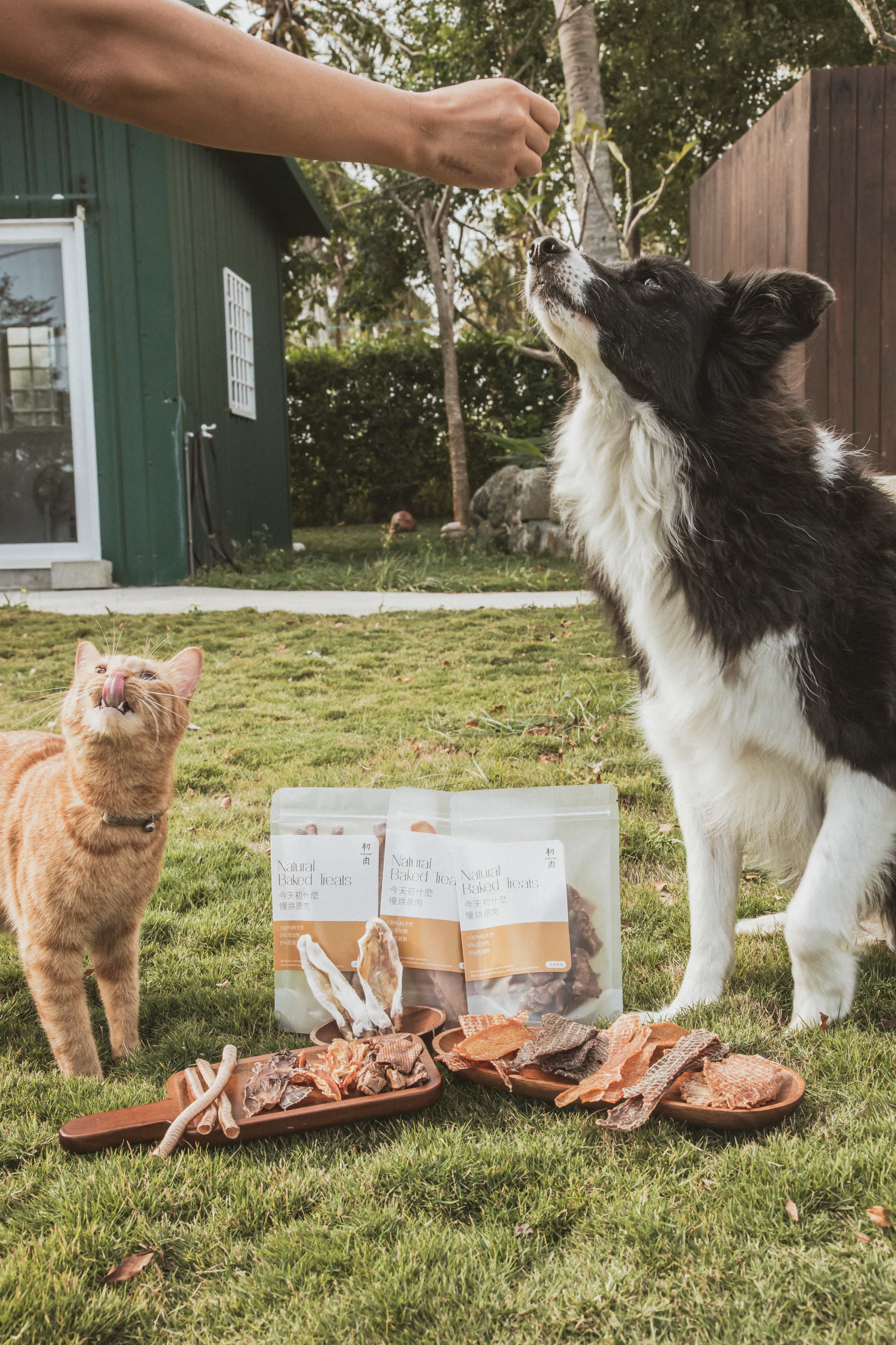 【常溫下單區】今天初什麼｜慢烘原肉零嘴