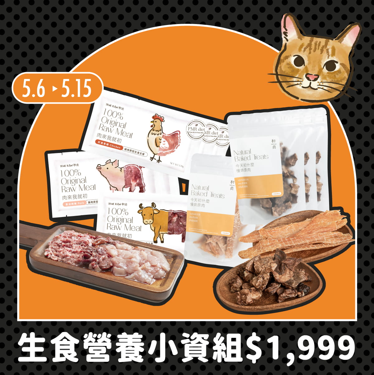 五月稅季應援｜貓用生食營養小資組