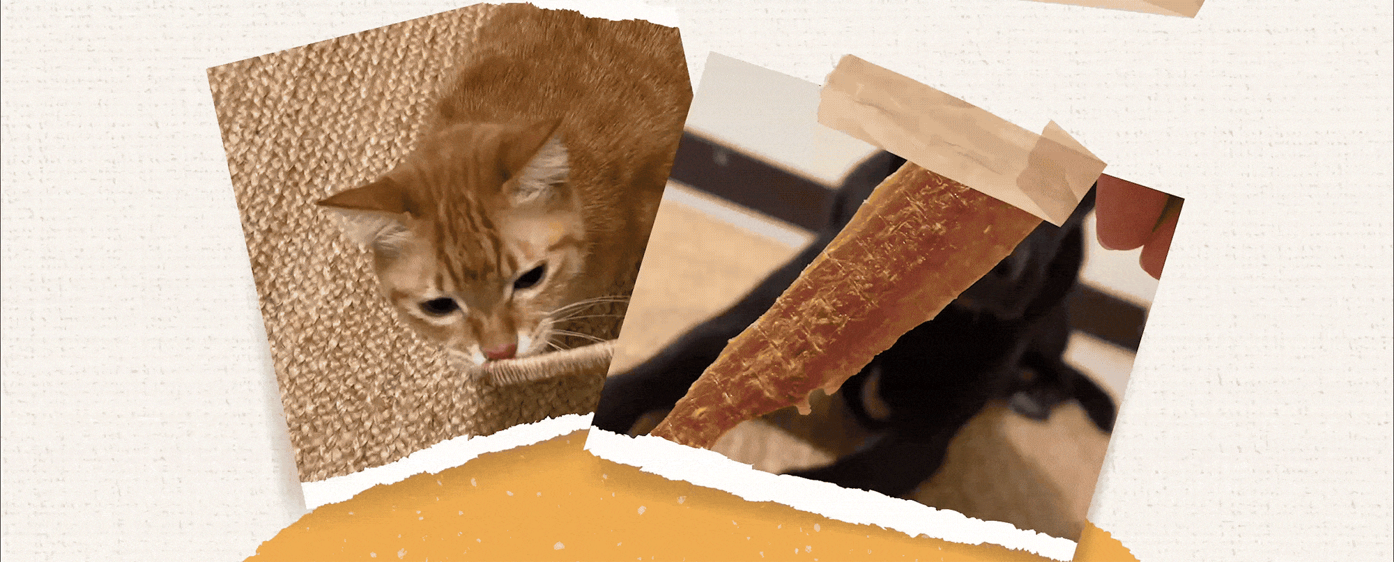 Adobe-Express---251223_eventsite_週年慶3號_web_02-min.gif__PID:2ef11069-9e77-4728-8c3f-7f9074cc7778