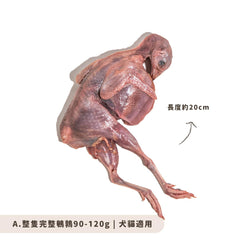 鵪鶉