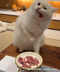 鵪鶉